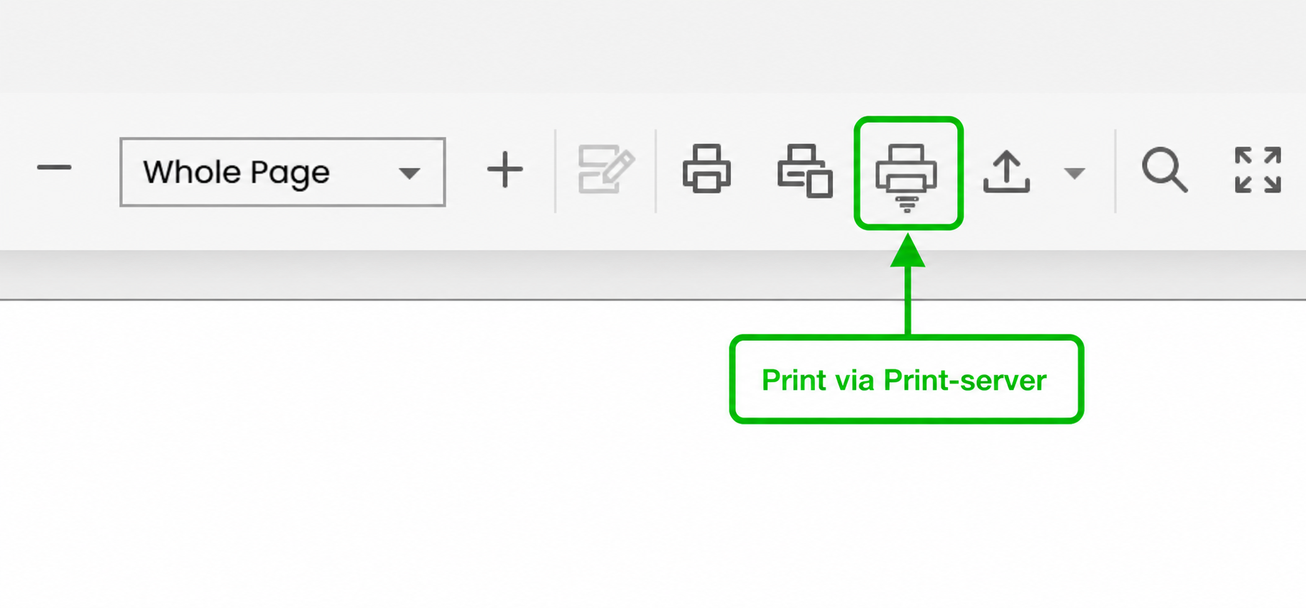 Print via Print-server on the report-preview toolbar
